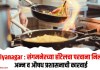 Ahilyanagar : संगमनेरच्या हॉटेलचा परवाना निलंबित