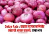 Onion Rate : राहाता बाजार समितीत कांद्याची आवक वाढली; वाचा भाव