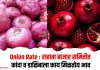 Onion Rate : राहाता बाजार समितीत कांदा व डाळिंबाला काय मिळतोय भाव