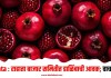 Rahata : राहाता बाजार समितीत डाळिंबाची आवक; वाचा भाव