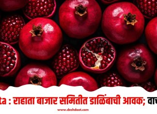 Rahata : राहाता बाजार समितीत डाळिंबाची आवक; वाचा भाव