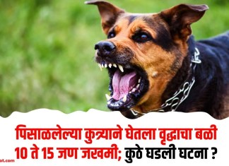 पिसाळलेल्या कुत्र्याने घेतला वृद्धाचा बळी