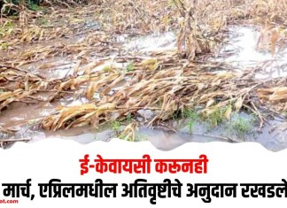 ई-केवायसी करूनही मार्च, एप्रिलमधील अतिवृष्टीचे अनुदान रखडले