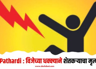 Pathardi : विजेच्या धक्क्याने शेतकर्याचा मृत्यू