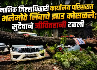 जिल्हाधिकारी