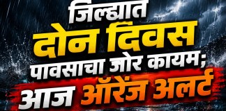 पावसाचा