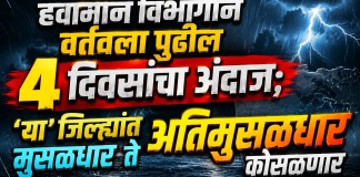 पावसाचा