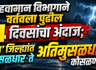 हवामान विभागाने वर्तवला पुढील ४ दिवसांचा पावसाचा अंदाज; ‘या’ जिल्ह्यांत मुसळधार ते अतिमुसळधार कोसळणार पावसाचा