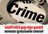 Crime News : खासगी प्लॉटचे कुलूप तोडून घुसखोरी; मालकासह सुरक्षारक्षकांना धमकावले