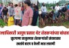 जिल्हाधिकारी आयुष प्रसाद थेट शेतकऱ्यांच्या बांधावर