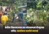 Nashik News: केबीएच विद्यालयाजवळ झाड कोसळल्याने वीजपुरवठा खंडित; तक्रारीनंतर तातडीने कारवाई झाड