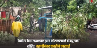 झाड