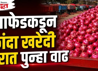 नाफेडकडून कांदा खरेदी दरात पुन्हा वाढ