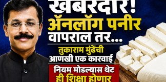 ॲनलॉग