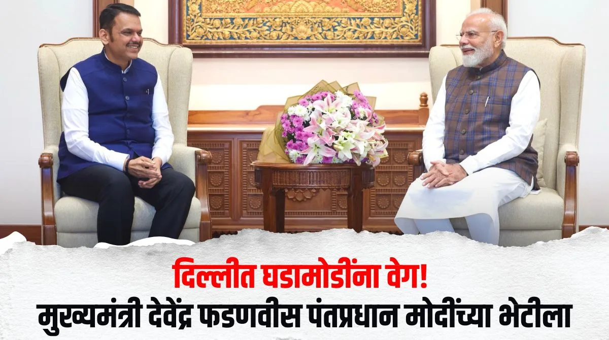 फडणवीसांची पंतप्रधान मोदींसोबत दिल्लीत भेट