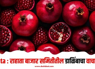 Rahata : राहाता बाजार समितीतील डाळिंबाचा वाचा भाव