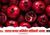 Rahata : राहाता बाजार समितीत डाळिंबाची आवक; वाचा भाव