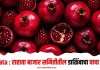 Rahata : राहाता बाजार समितीतील डाळिंबाचा वाचा भाव
