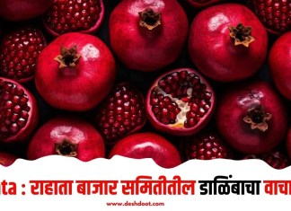 Rahata : राहाता बाजार समितीतील डाळिंबाचा वाचा भाव