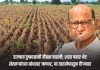 शरद