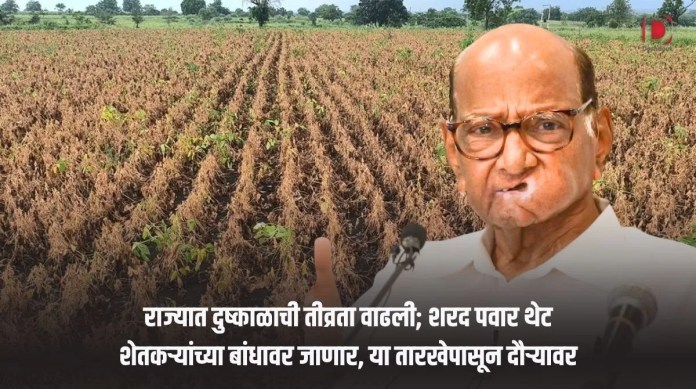 शरद