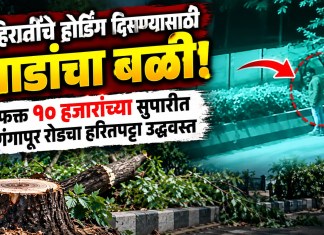 झाडांचा