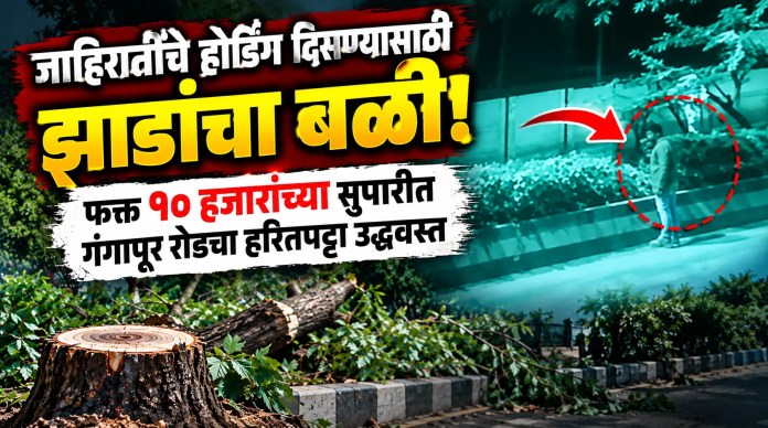 झाडांचा