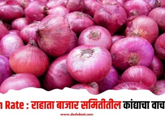 Onion Rate : राहाता बाजार समितीतील कांद्याचा वाचा भाव