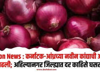 Onion News : कर्नाटक-आंध्रच्या नवीन कांद्याची आवक वाढली; अहिल्यानगर जिल्ह्यात दर काहिसे घसरले