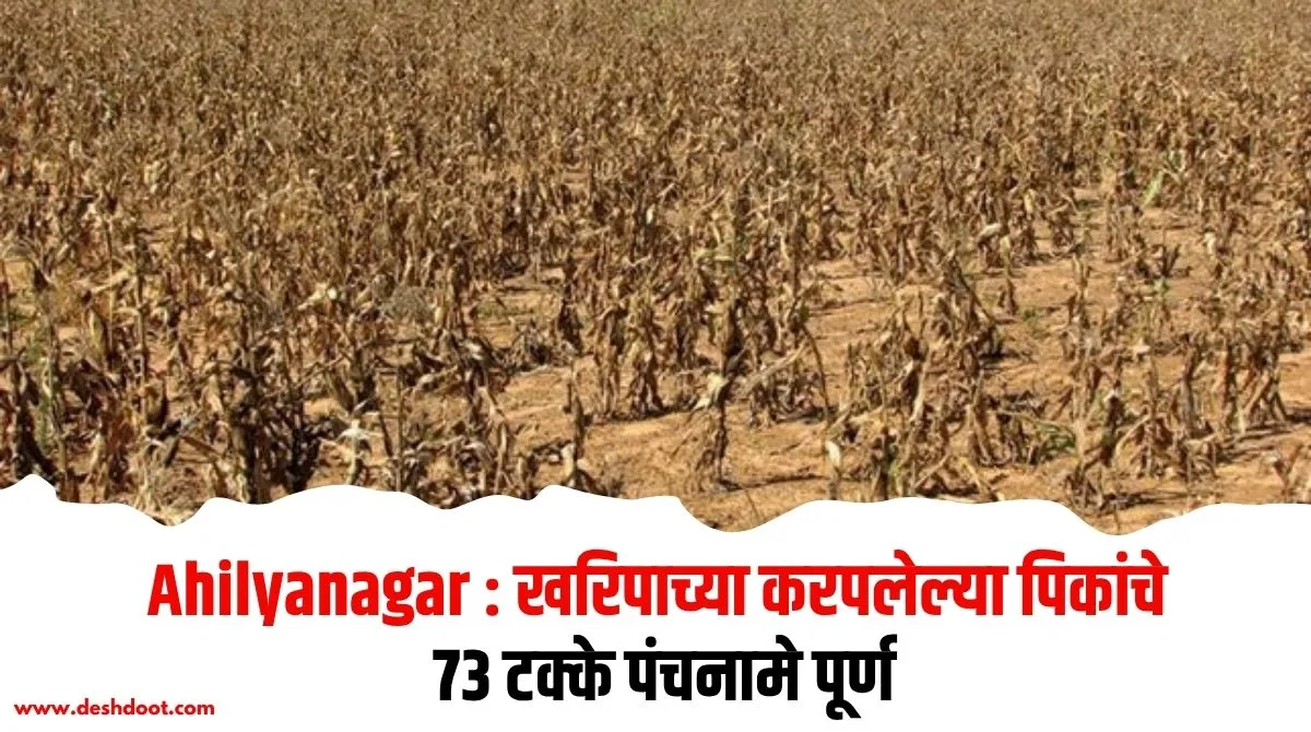 अहिल्यानगर: करपलेल्या खरिप पिकांचे ७३ टक्के पंचनामे पूर्ण