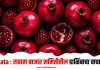 Rahata : राहाता बाजार समितीतील डाळिंबाचा वाचा भाव