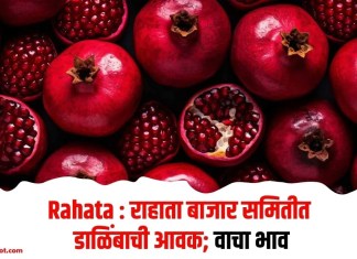 Rahata : राहाता बाजार समितीत डाळिंबाची आवक; वाचा भाव
