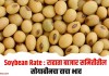 Soybean Rate : राहाता बाजार समितीतील सोयाबीनचा वाचा भाव
