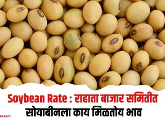 Soybean Rate : राहाता बाजार समितीत सोयाबीनला काय मिळतोय भाव