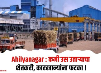 Ahilyanagar : कमी उस उतार्याचा शेतकरी, कारखान्यांना फटका!