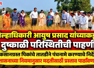 जिल्हाधिकारी आयुष प्रसाद यांच्याकडून दुष्काळी परिस्थितीची पाहणी