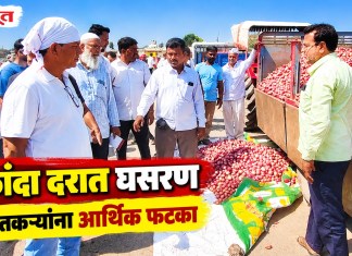 कांदा दरात घसरण